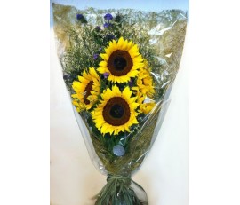 F12 SUNFLOWER BOUQUET
